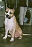 06 - Trouble sitting 3.jpg